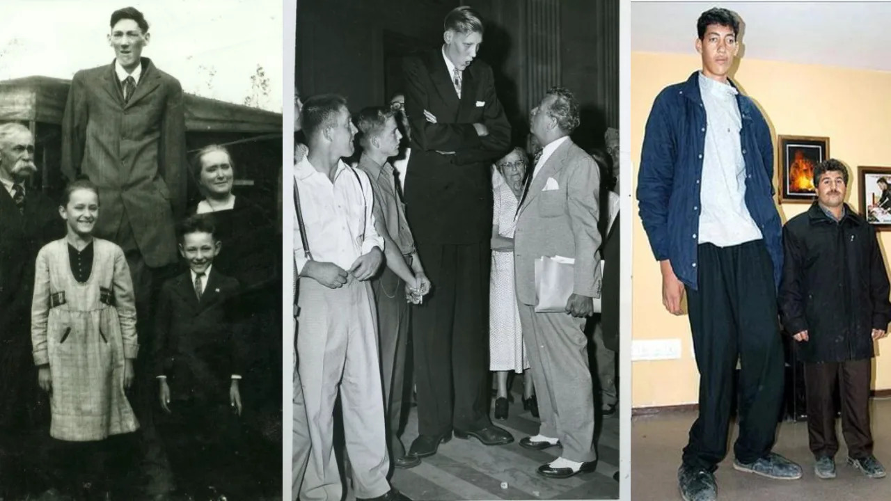 Top10 Tallest People in the History - WiseLancer
